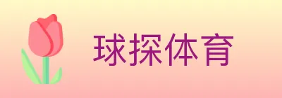 球探体育 logo